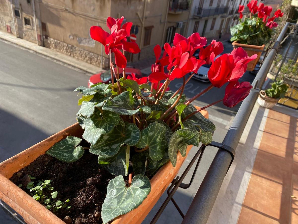 Apartment In The Center Terrasini Εξωτερικό φωτογραφία